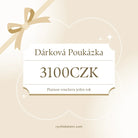 darkova poukazka 3100